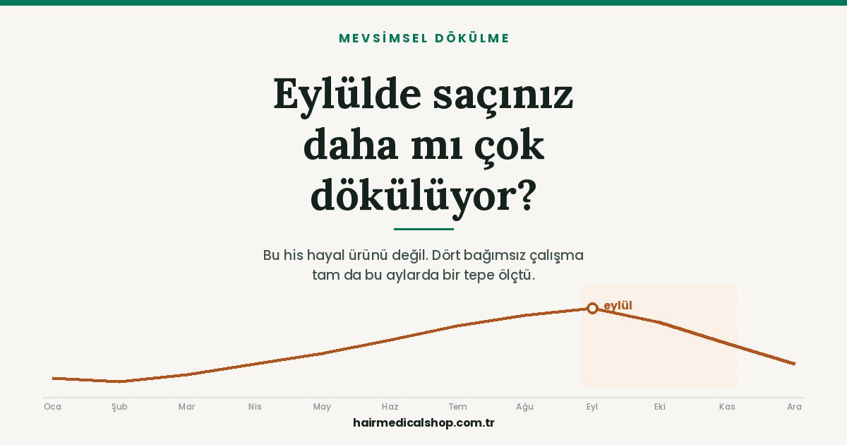Yıl boyunca dinlenme evresindeki saç oranı eylülde tepe yapıyor